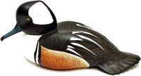 Hand Carved Wooden Hooded Merganser   ~ OOAK Christmas & Birthday Gift - Image 8