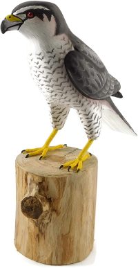 Hand Carved Wooden Goshawks  ~ OOAK Christmas & Birthday Gift - Image 4