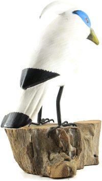 Hand Carved Wooden Bali Starling on Log  ~ OOAK Christmas & Birthday Gift - Image 8