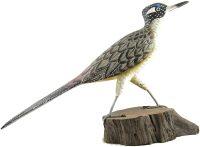 Hand Carved Wooden Greater Road Runner  ~ OOAK Christmas & Birthday Gift