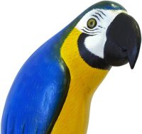 Hand Carved Wooden The Blue-and-Yellow Macaw  ~ OOAK Christmas & Birthday Gift - Image 4