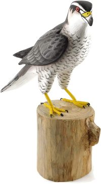 Hand Carved Wooden Goshawks  ~ OOAK Christmas & Birthday Gift - Image 2