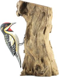 Hand Carved Wooden Red Naped Sapsucker  ~ OOAK Christmas & Birthday Gift