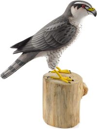 Hand Carved Wooden Goshawks  ~ OOAK Christmas & Birthday Gift