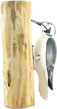 Hand Carved Wooden Woodpecker  ~ OOAK Christmas & Birthday Gift - Image 4