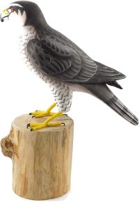 Hand Carved Wooden Goshawks  ~ OOAK Christmas & Birthday Gift - Image 5