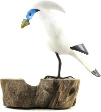 Hand Carved Wooden Bali Starling on Log  ~ OOAK Christmas & Birthday Gift - Image 5