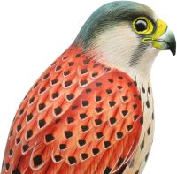 Hand Carved Wooden Kestrel Falcon on Log  ~ OOAK Christmas & Birthday Gift - Image 7