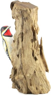 Hand Carved Wooden Red Naped Sapsucker  ~ OOAK Christmas & Birthday Gift - Image 2