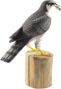 Hand Carved Wooden Goshawks  ~ OOAK Christmas & Birthday Gift - Image 3