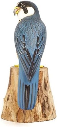 Brave Wings Hand Carved Wooden Garden Bird ~ Hobby Falcon Garden Friend of Robin Red Breast ~ Wood Ornament Sculpture Figurine - Image 3