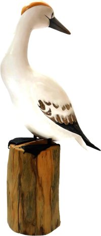 Handcarved Wooden Northern Gannet ~ OOAK Christmas & Birthday Gift - Image 6