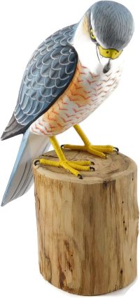 Hand Carved Merlin Falcon Bird~ OOAK Christmas & Birthday Gift - Image 2