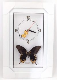 Framed Butterfly Clock ~ OOAK Christmas & Birthday Gift