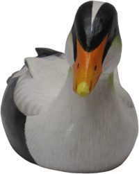 Hand Carved Wooden Decoy Duck ~ Common Eider Duck 27cm Long - Image 6