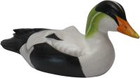 Hand Carved Wooden Decoy Duck ~ Common Eider Duck 27cm Long