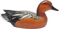 Hand Carved Wooden Decoy Duck ~ Cinnamon Teal Duck 27cm Long - Image 2